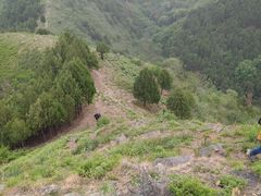 -北京鹫峰国家森林公园