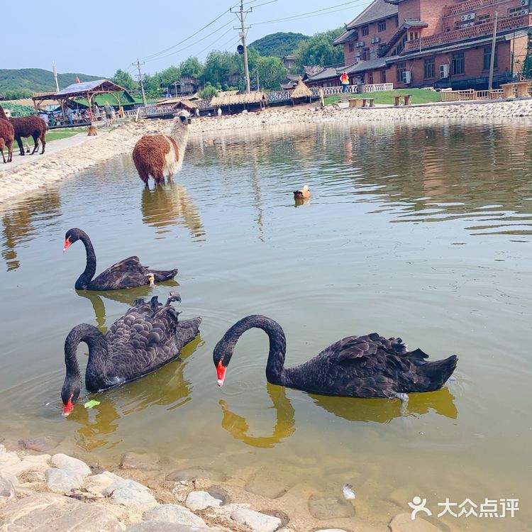 鞍山老院子动物园