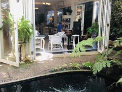 -Fern Forest Cafe