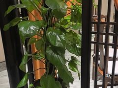 -二分八云雁阁•新晋菜大同味(长治路店)