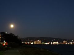 -香港东海海鲜酒家