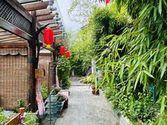 -慢丽江·云南野生菌土鸡锅(付家庄店)