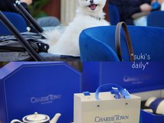 -CHARLIETOWN红茶公司(南京万象天地店)
