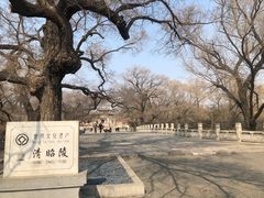 -北陵公园