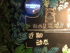 -zoonana室内动物园(东方福来德店)