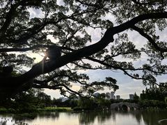-江心屿景区