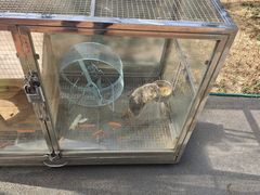 -青岛鑫江温德姆酒店