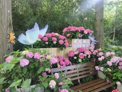 -上海滨江森林公园