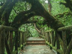 -龙苍沟森林公园