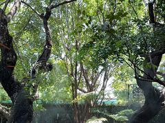 -Chom Cafe and Restaurant