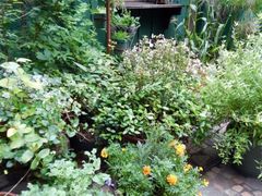 -三鹰之森吉卜力美术馆