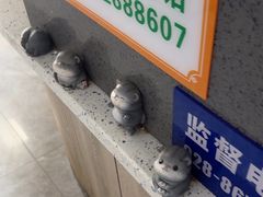 -半岛宠物医院24小时(白果林店)