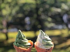 -豆政(金閣寺境内売店)