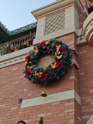 -翱翔飞越地平线