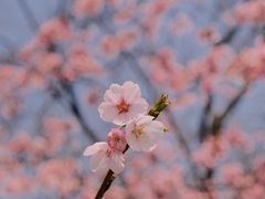 -静安雕塑公园