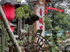 -青城甲(青城山店)