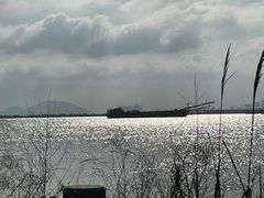 -芒洲湿地公园