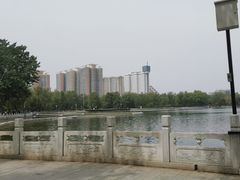 -莲花池公园