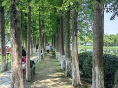 -金银湖国家城市湿地公园