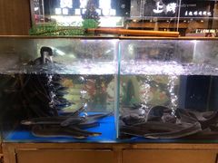 -本炙炭烤·蒲烧活鳗料理店(金沙洲店)