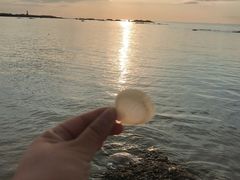 -东戴河风景区-止锚湾