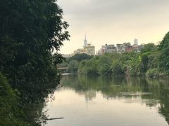 -小洲村