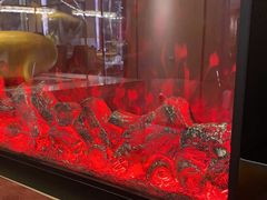 -溪熙里温泉生活馆