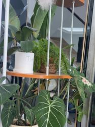 点击看大图 -AGAXI美甲美睫