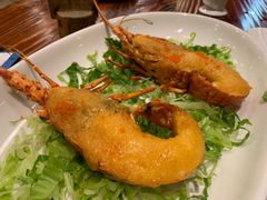 -顺德了能馆(虎门店)