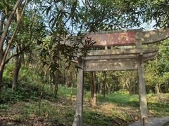 -大雁山风景区
