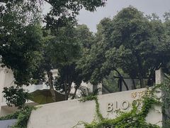 -杭州西湖风景名胜区-满觉陇四眼井