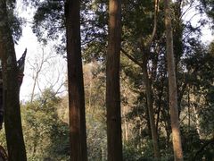 -都江堰普照寺