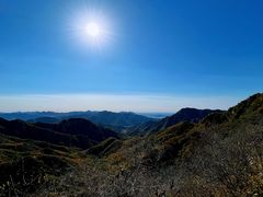 -大岭沟猕猴桃谷风景区