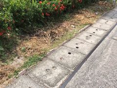 -普吉岛卡塔阿维斯塔诺富特酒店度假村