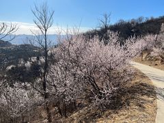 -北京西山国家森林公园