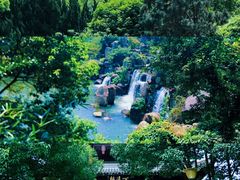 -白马涧龙池景区