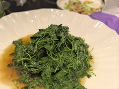 -新雅粤菜馆(南京东路店)