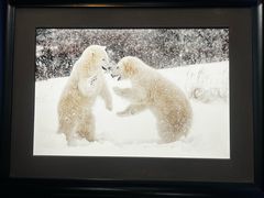 -罗红摄影艺术馆