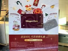 -哈根达斯(朝阳大悦城店)
