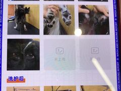 -MARSMART PETS火星宠物超市(1733店)
