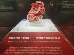 -湖南省地质博物馆