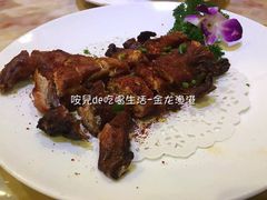 -金龙渔港(双楠店)