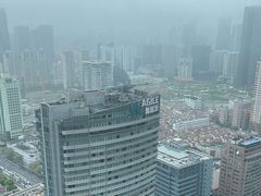 -上海新世界丽笙大酒店旋景餐厅(人民广场店)