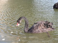 -天津东丽湖风景区