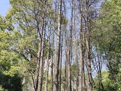 -人民公园-相亲角