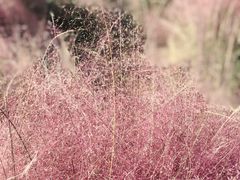 -映月湖中央公园