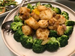 西兰花澳带-上海老站(徐家汇店)