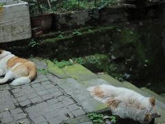 -悟饮门市景店
