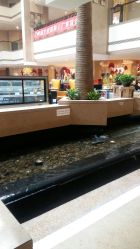 -尊茂银都酒店·宴会厅