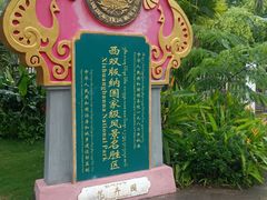 -西双版纳原始森林公园